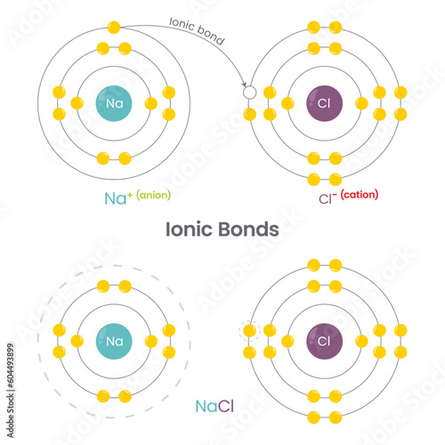 Chemical bonds education vector illustration infographic