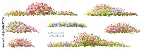 Vector of flower grass or blooming shrub isolated on white background,tree elevation for landscape concept,environment panorama scene,eco design,meadow for spring