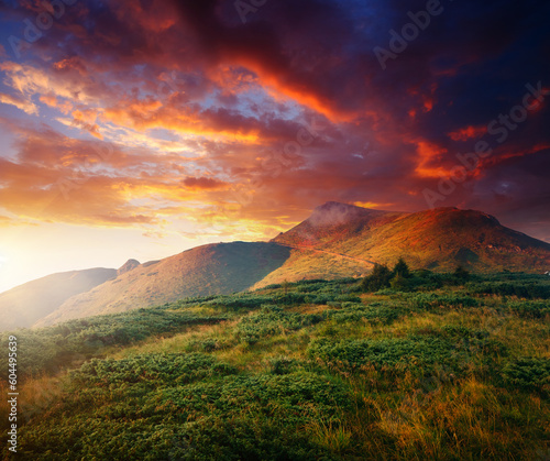 A gorgeous view of mountain peaks in the morning sunlight. Carpathian mountains  Ukraine.
