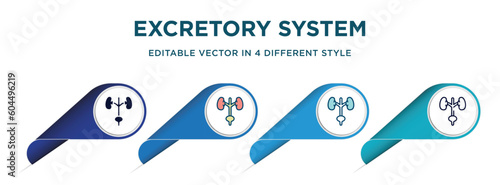 excretory system icon in 4 different styles such as filled, color, glyph, colorful, lineal color. set of vector for web, mobile, ui