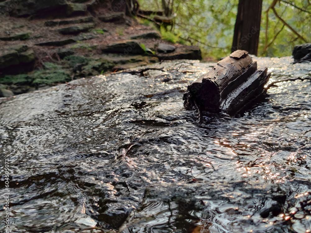 a wooden stump in the campsite creek beneath the setting sun. a wooden stump in the campsite creek beneath the setting sun.