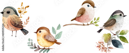 bird nature watercolor neutral colors for kids simple drawing childish cute photo