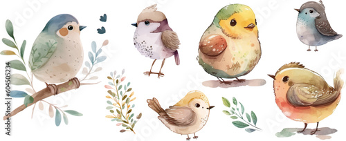 bird nature watercolor neutral colors for kids simple drawing childish cute