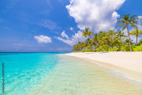 Fototapeta Naklejka Na Ścianę i Meble -  Best tropical beach landscape. Fantastic summer coast, vacation destination, palm trees, white sand, sunny sky. Freedom travel, amazing sea lagoon, paradise shore nature landscape. Beautiful beach