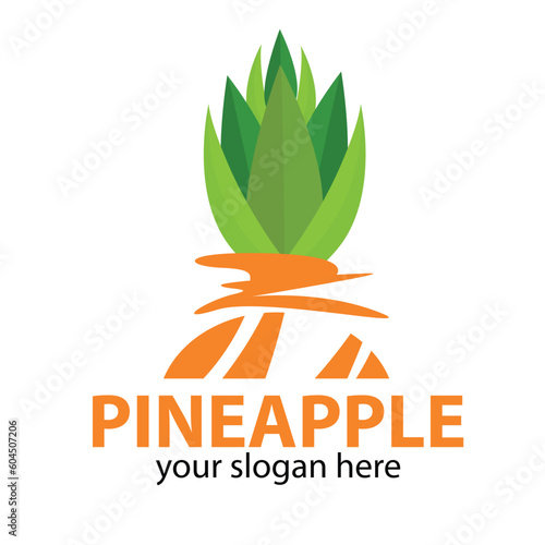 vector unfinished pineapple colored orange
