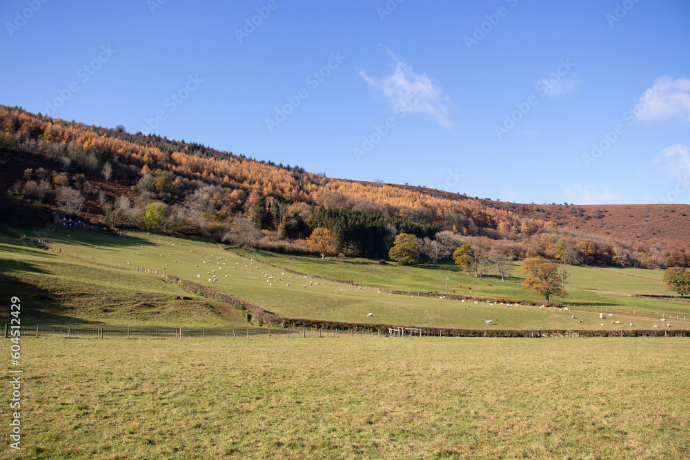 autumn landscape in Wales.