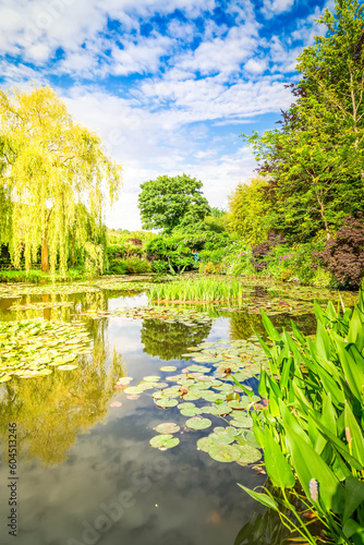 Canvas Print Pond with lilies in Giverny