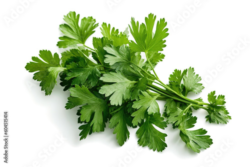 A bunch of parsley on a white background photo