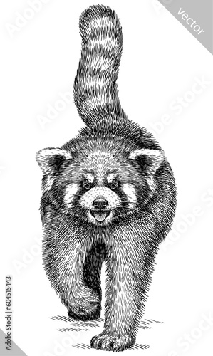 engrave isolated panda bear illustration sketch. linear art Imagens -  46498401