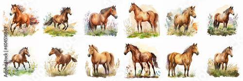 Watercolor cartoon illustration of a graceful horse in a meadow on a white background. © STOCK PHOTO 4 U