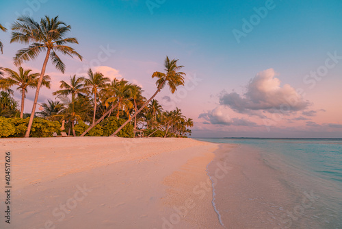 Paradise island palm trees sea sand beach. Panoramic beach travel landscape. Inspire tropical beach seascape horizon. Orange golden sunset sky calm tranquil relaxing summer vacation. Exotic holiday