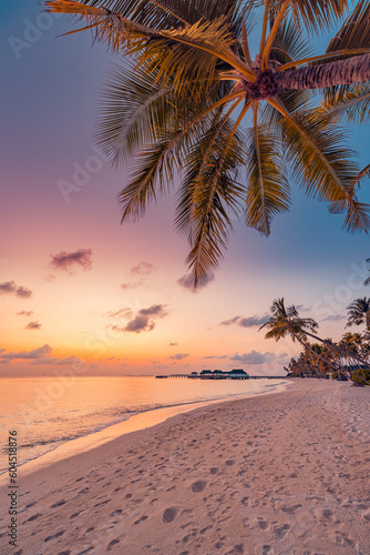 Fototapeta Naklejka Na Ścianę i Meble -  Paradise island palm trees sea sand beach. Panoramic beach travel landscape. Inspire tropical beach seascape horizon. Orange golden sunset sky calm tranquil relaxing summer vacation. Exotic holiday