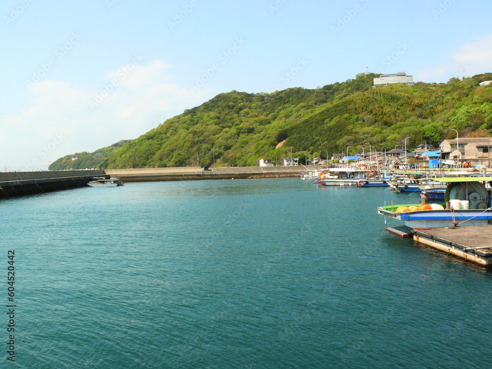 瀬戸内海沿岸の漁港全景。
防波堤に囲まれた港。
日本の漁村の風景。