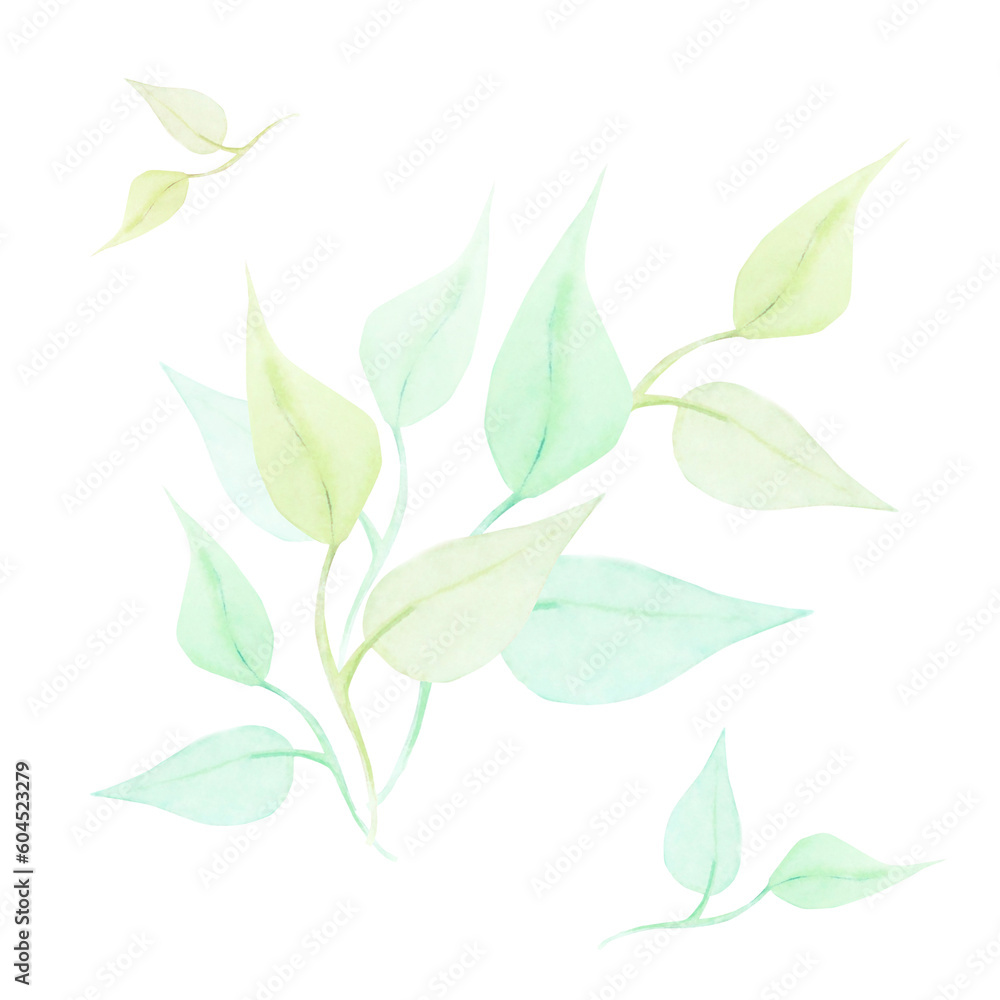 Watercolor drawing of half-transparent clear green and light-brown branches wirh leaves on white background. Nice picture for illustration, stickers, cards, scrapbooking