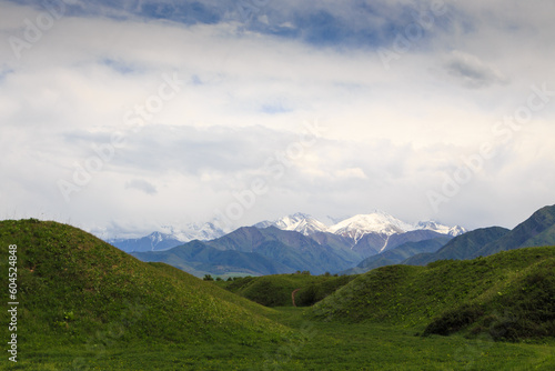 Beautiful spring and summer landscape. Lush green hills, high mountains. Spring blooming herbs. Kyrgyzstan © Alwih