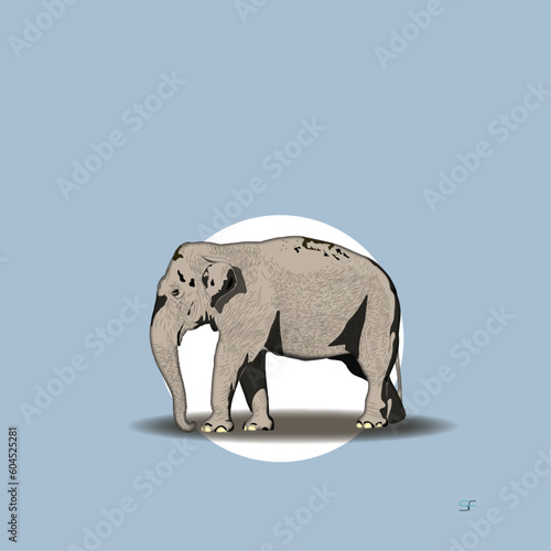 Elephant Illustration Vector