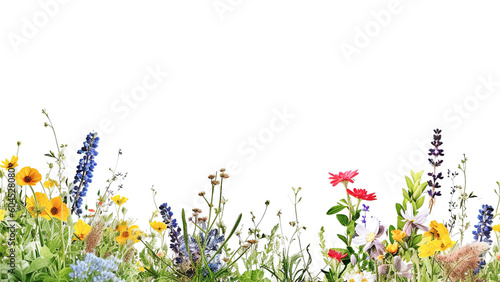 AI generative. Border of meadow wildflowers on white