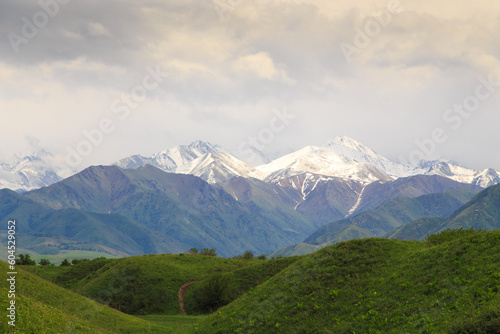 Beautiful spring and summer landscape. Lush green hills, high mountains. Spring blooming herbs. Kyrgyzstan