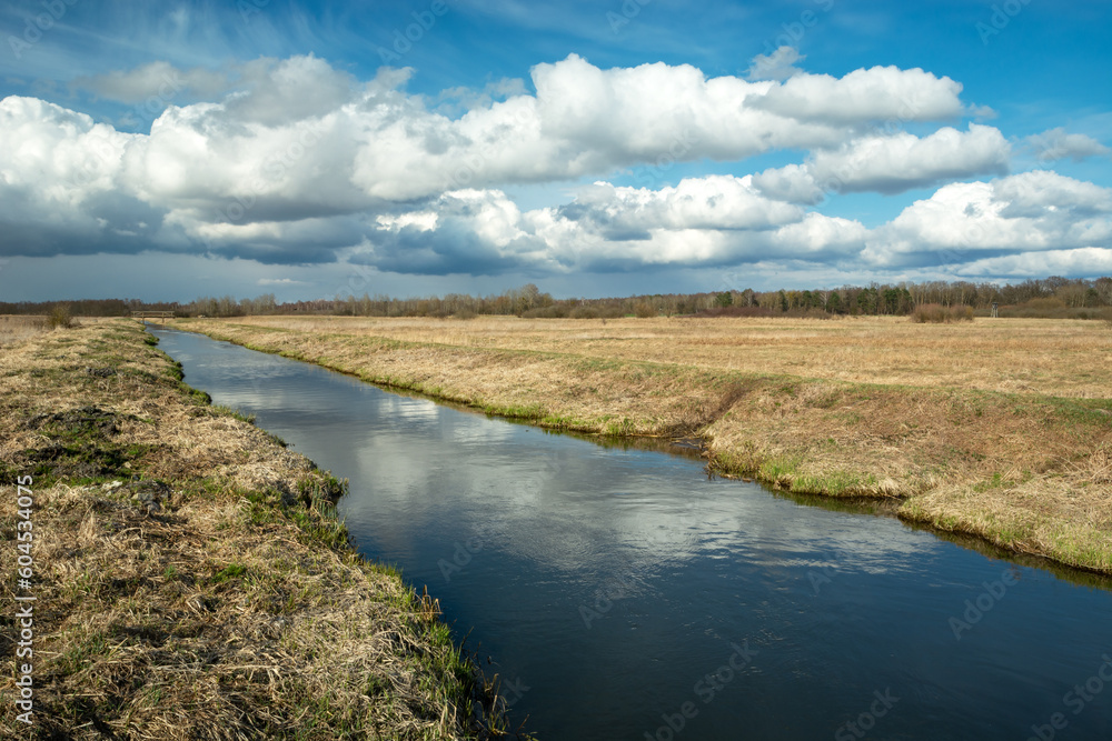 Fototapeta premium Cumulus clouds over the Uherka River in eastern Poland