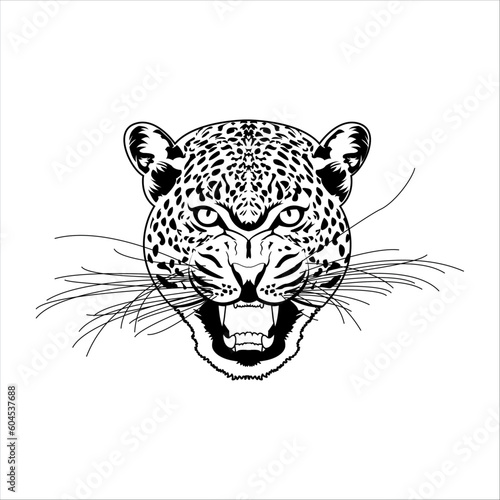 roaring leopard head, leopard head vector design inspiration