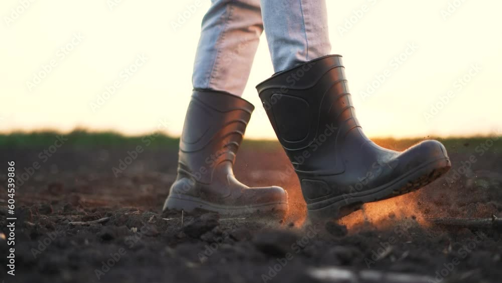 Agriculture. Farmer in rubber boots walks across a black field. Farm worker in rubber boots. Feet in rubber boots step on soil in field. Farmer works on land at farm. Fertile soil on a rural farm Agriculture. Farmer in rubber boots walks across a black field. Farm worker in rubber boots. Feet in rubber boots step on soil in field. Farmer works on land at farm. Fertile soil on a rural farm