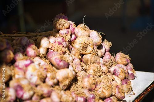 Garlic in the sun