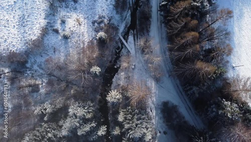 water flowing into the forest in winter