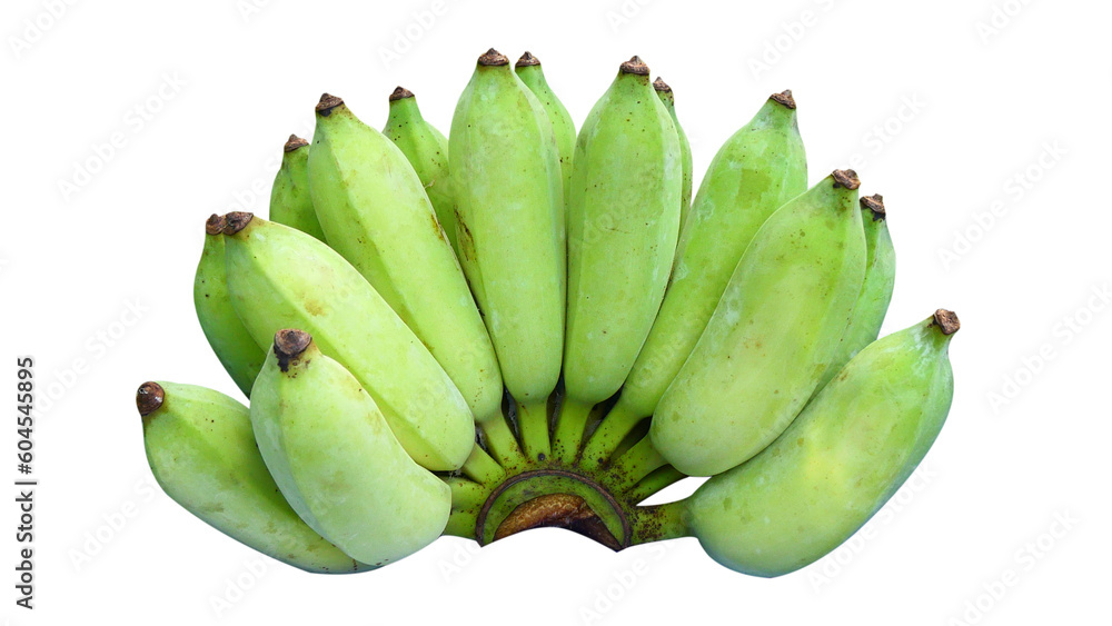 Green bananas are just the right size isolated on white background. Green bananas are just the right size isolated on white background.