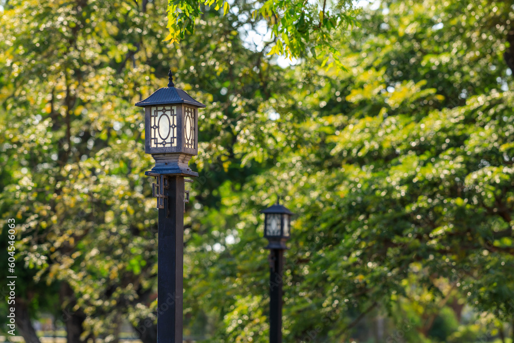 Chinese street lamp in the garden Chinese street lamp in the garden