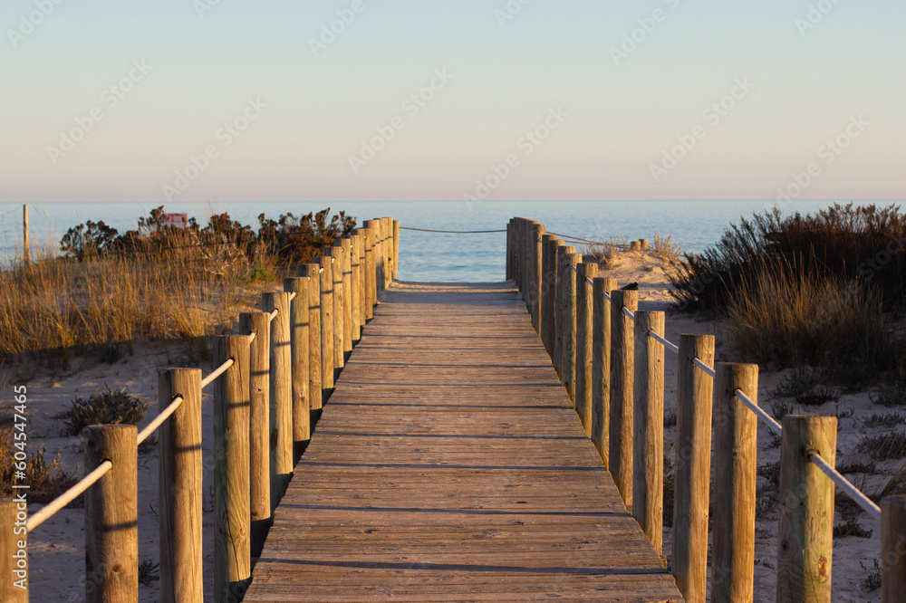 wooden path to the beach in summer to watch the sunset wooden path to the beach in summer to watch the sunset