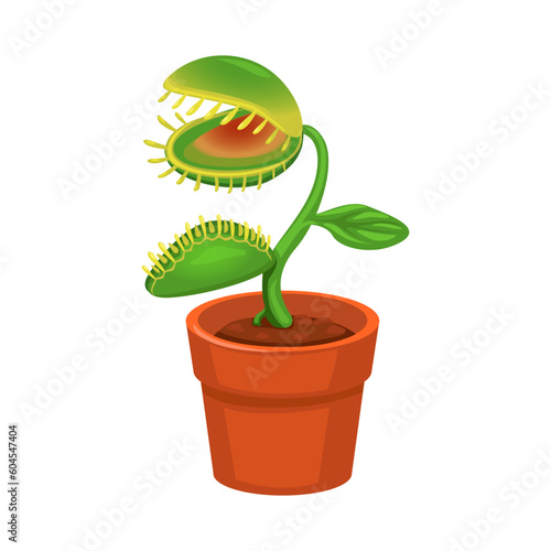 Carnivorous Plant on Pot Cartoon illutration vector
