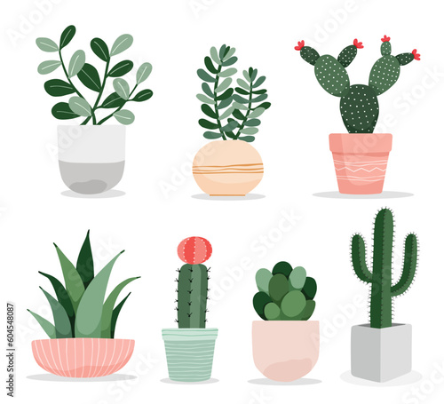 A collection of cute cactus and succulent plant in pots indoor plants in flat style vector illustration.