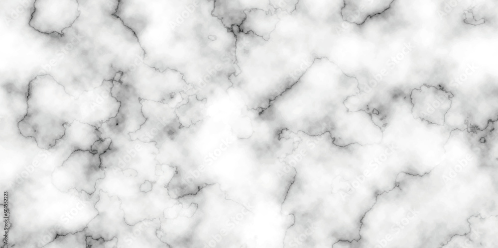 Marble white background wall surface black pattern . White and black marble texture background . Luxurious material interior or exterior design. Marble white background wall surface black pattern . White and black marble texture background . Luxurious material interior or exterior design.