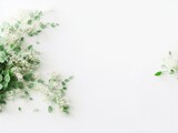 Styled stock photo. Feminine wedding desktop mockup with baby's breath Gypsophila flowers, dry green eucalyptus leaves, satin ribbon and white background. Top view. Picture for blog. Generative ai