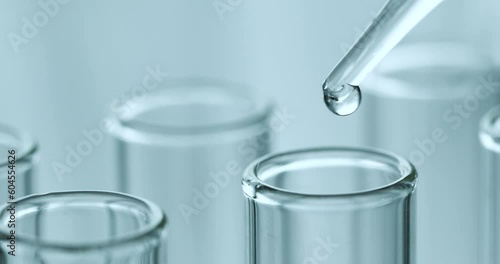 Drop chemical fluid into laboratory test tube , science biological or chemistry research concept