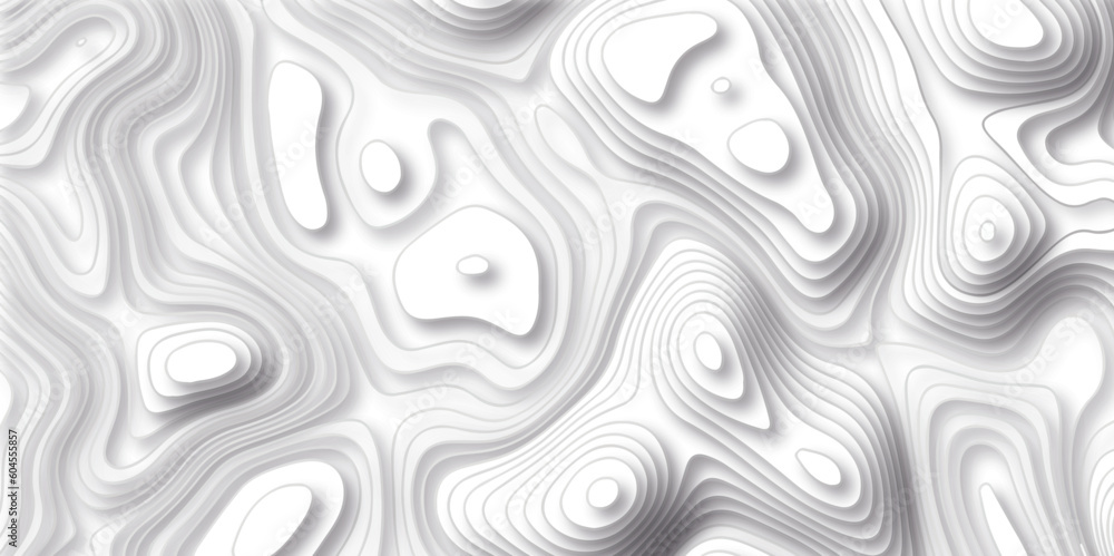  Pattern with lines and dots The stylized height of the topographic map contour in lines and contours isolated on transparent. Black and white topography contour lines map isolated on white background - obrazy, fototapety, plakaty 