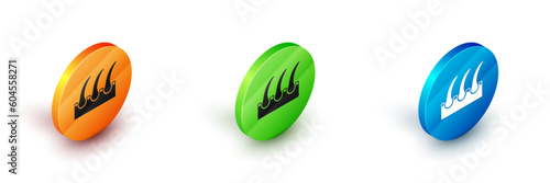 Isometric Human hair follicle icon isolated on white background. Hair care treatment. Circle button. Vector
