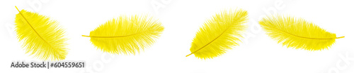 yellow ostrich feathers on a transparent isolated background. png