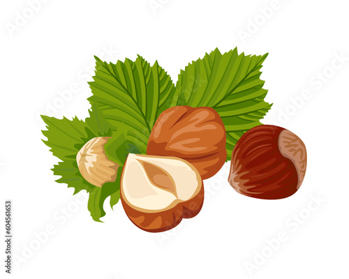 Hazelnut vector illustration. Heap of nuts and green leaves. Cartoon icon.