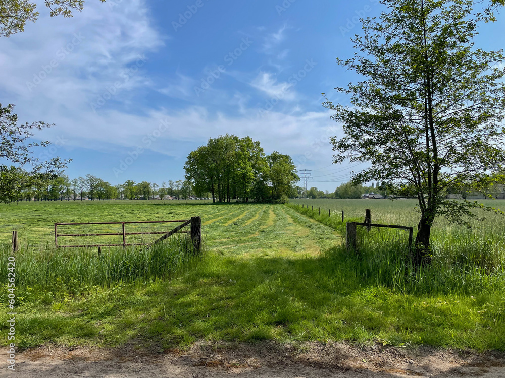 Indulge in the boundless beauty of a lush green grass field beneath the vast expanse of a blue sky, a serene paradise that soothes the soul Indulge in the boundless beauty of a lush green grass field beneath the vast expanse of a blue sky, a serene paradise that soothes the soul