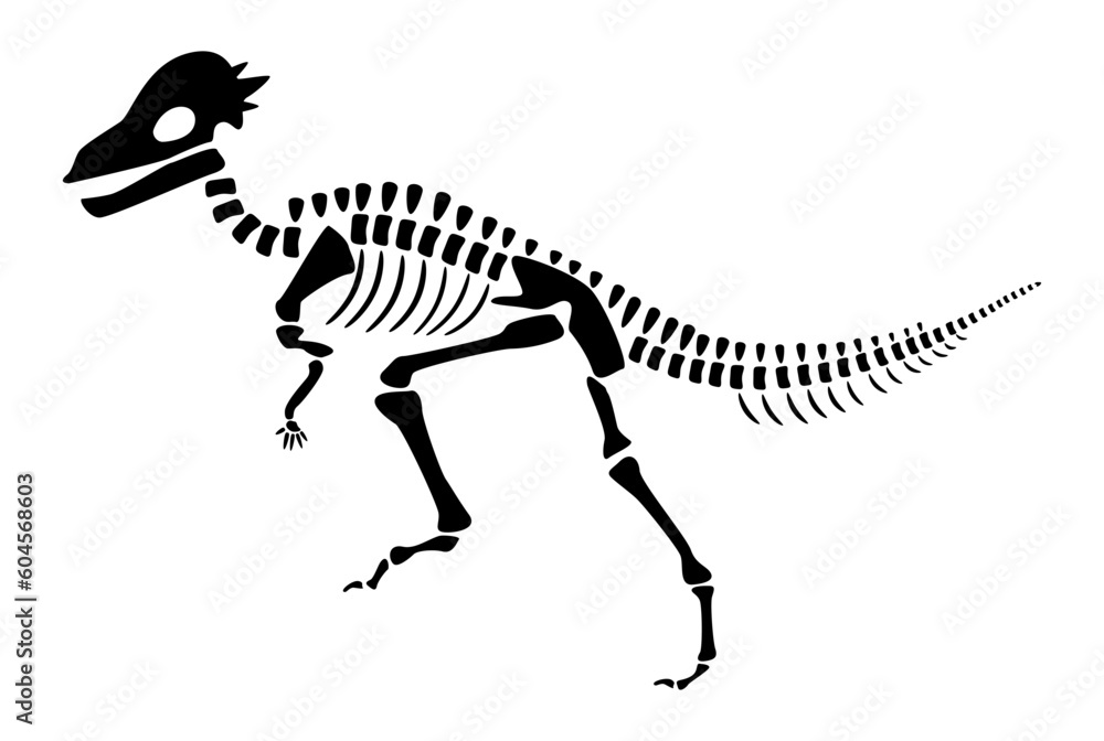 Pachycephalosaurus skeleton . Silhouette dinosaurs . Side view . Vector . Pachycephalosaurus skeleton . Silhouette dinosaurs . Side view . Vector .