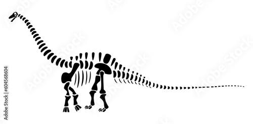 Apatosaurus skeleton . Silhouette dinosaurs . Side view . Vector .