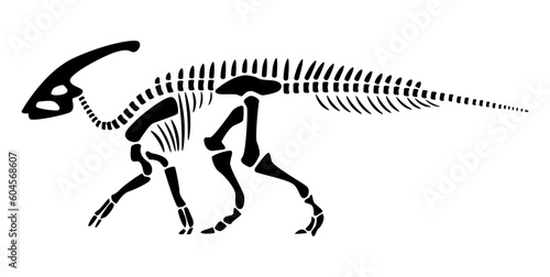 Parasaurolophus skeleton . Silhouette dinosaurs . Side view . Vector .