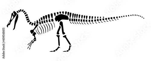 Suchomimus skeleton . Silhouette dinosaurs . Side view . Vector .