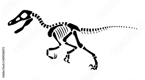 Velociraptor skeleton . Silhouette dinosaurs . Side view . Vector .