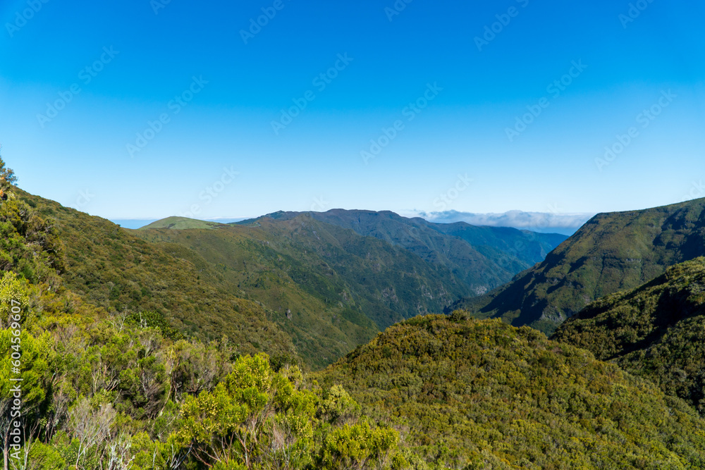 Mountain landscape. View of mountains on the route Queimadas Forestry Park - Caldeirao Verde. Madeira Island, Portugal, Europe. Mountain landscape. View of mountains on the route Queimadas Forestry Park - Caldeirao Verde. Madeira Island, Portugal, Europe.