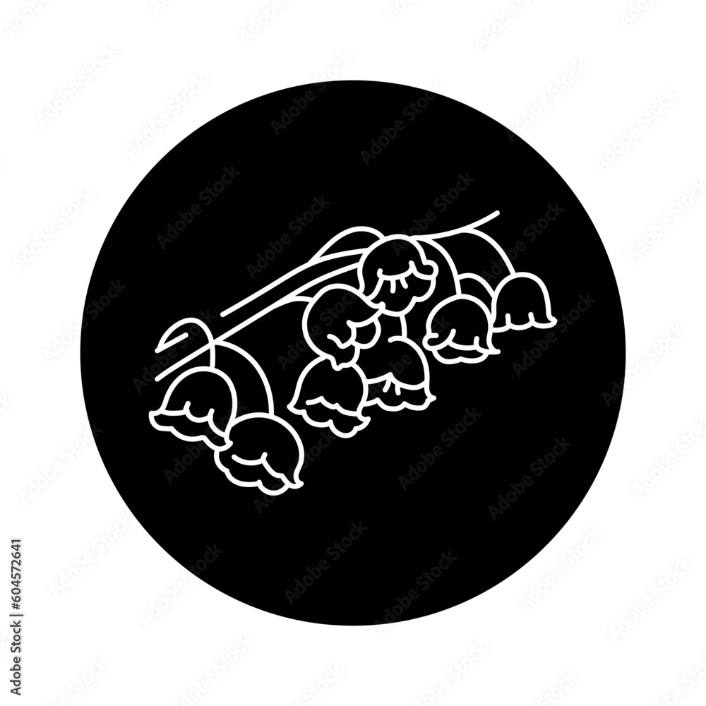 Fototapeta premium Lily of the valley flower black line