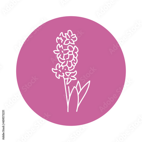 Hyacinth flower black line