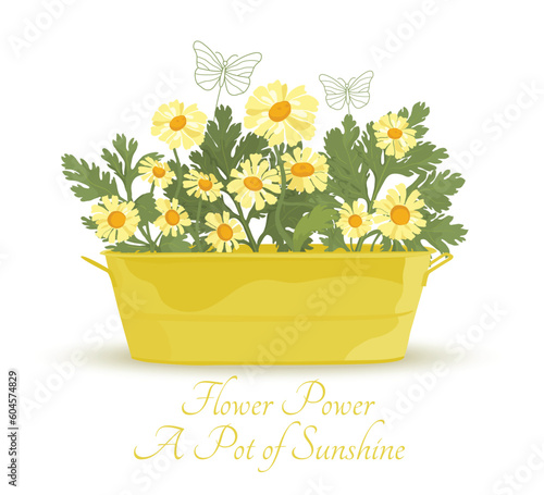Colorful and lively composition with the flowers