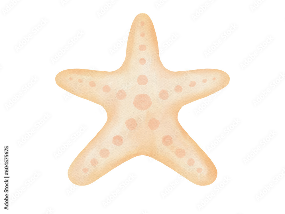 star fish summer decoration watercolour element star fish summer decoration watercolour element